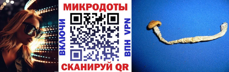 Галлюциногенные грибы MAGIC MUSHROOMS как найти Олёкминск